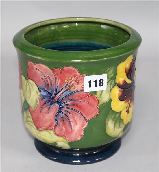 A Moorcroft Hibiscus jardiniere